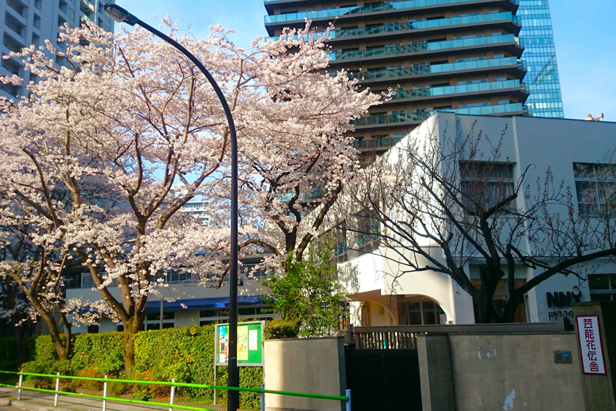 春の花伝舎